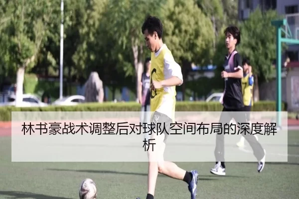 林书豪战术调整后对球队空间布局的深度解析