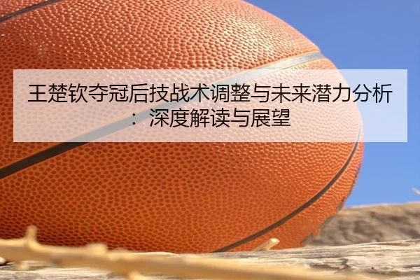 王楚钦夺冠后技战术调整与未来潜力分析：深度解读与展望